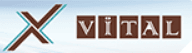 Vital Asansör